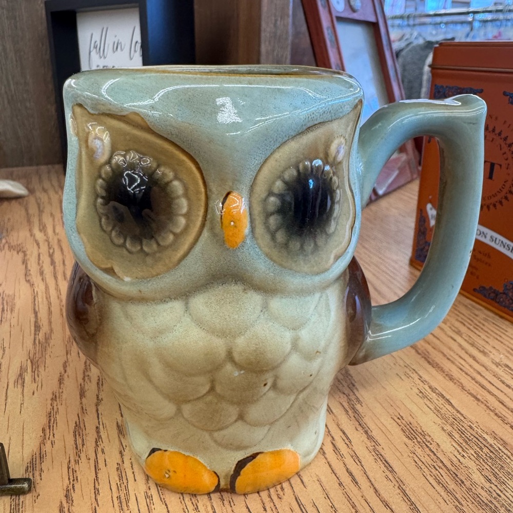 It’s a hoot! Owl coffee mug.